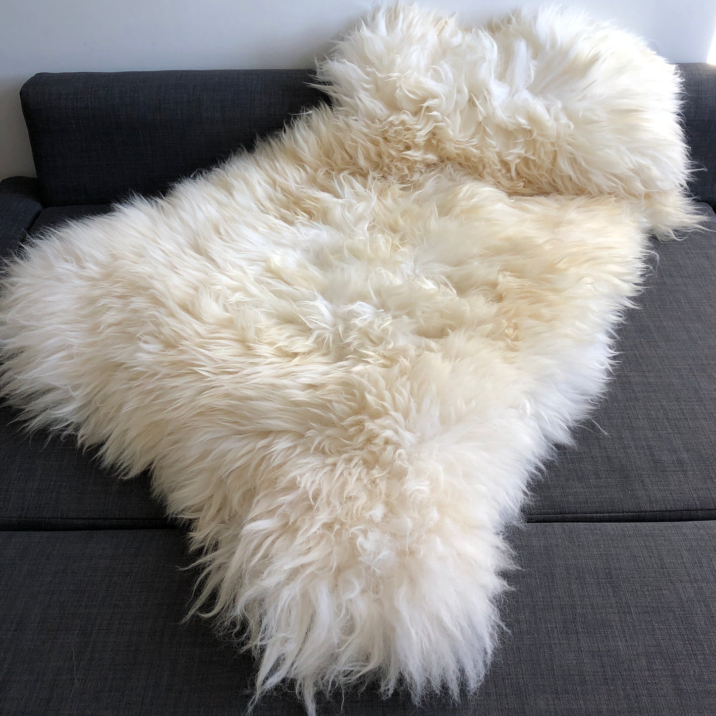 XXXL 130cm+ (51”+) Top Quality British White Sheepskin Rug 100% Natural Free-range UK Ecofriendly Huge Sheepskin Skin