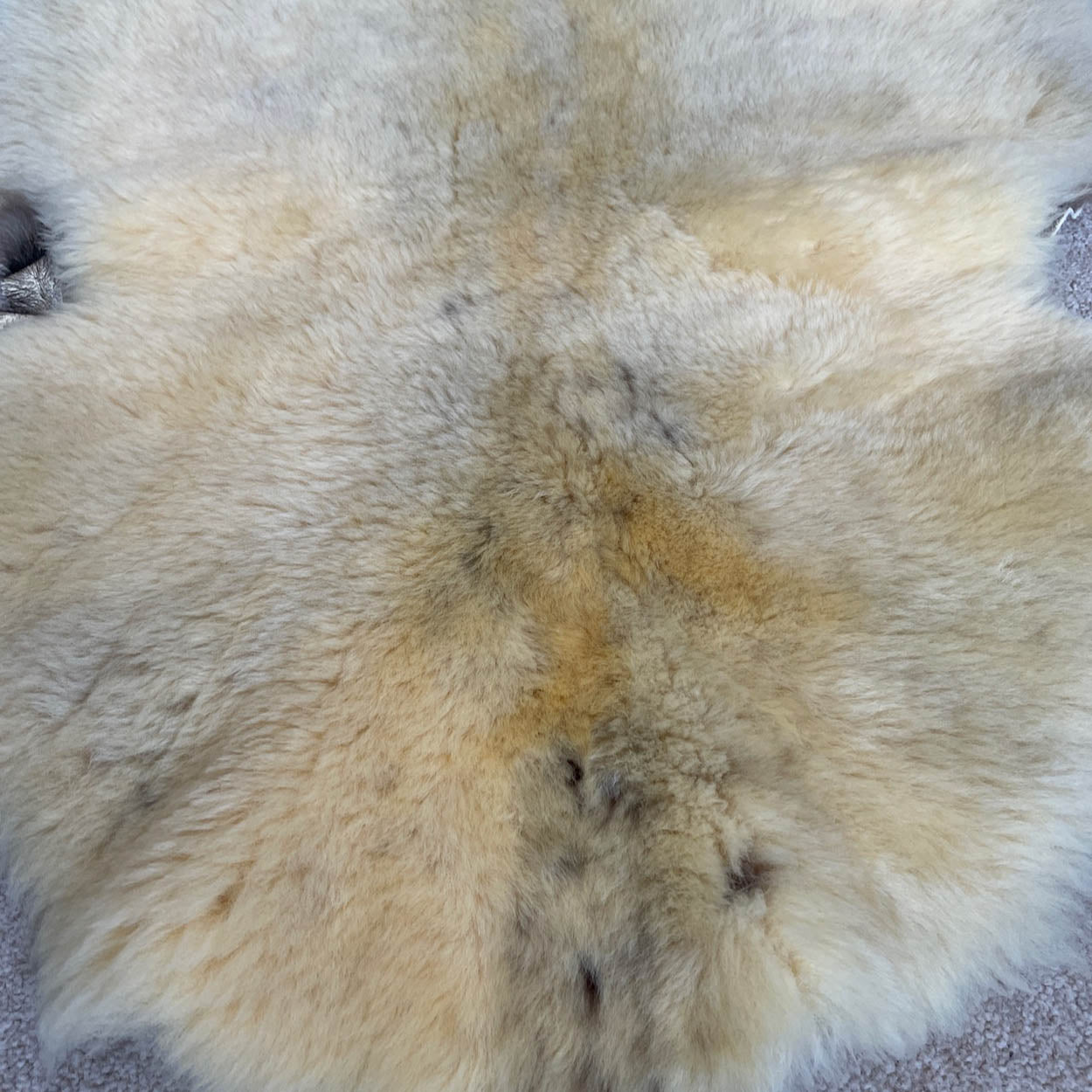 Grade B British Sheepskin Hide White Cream Ivory Sheepskin Rug