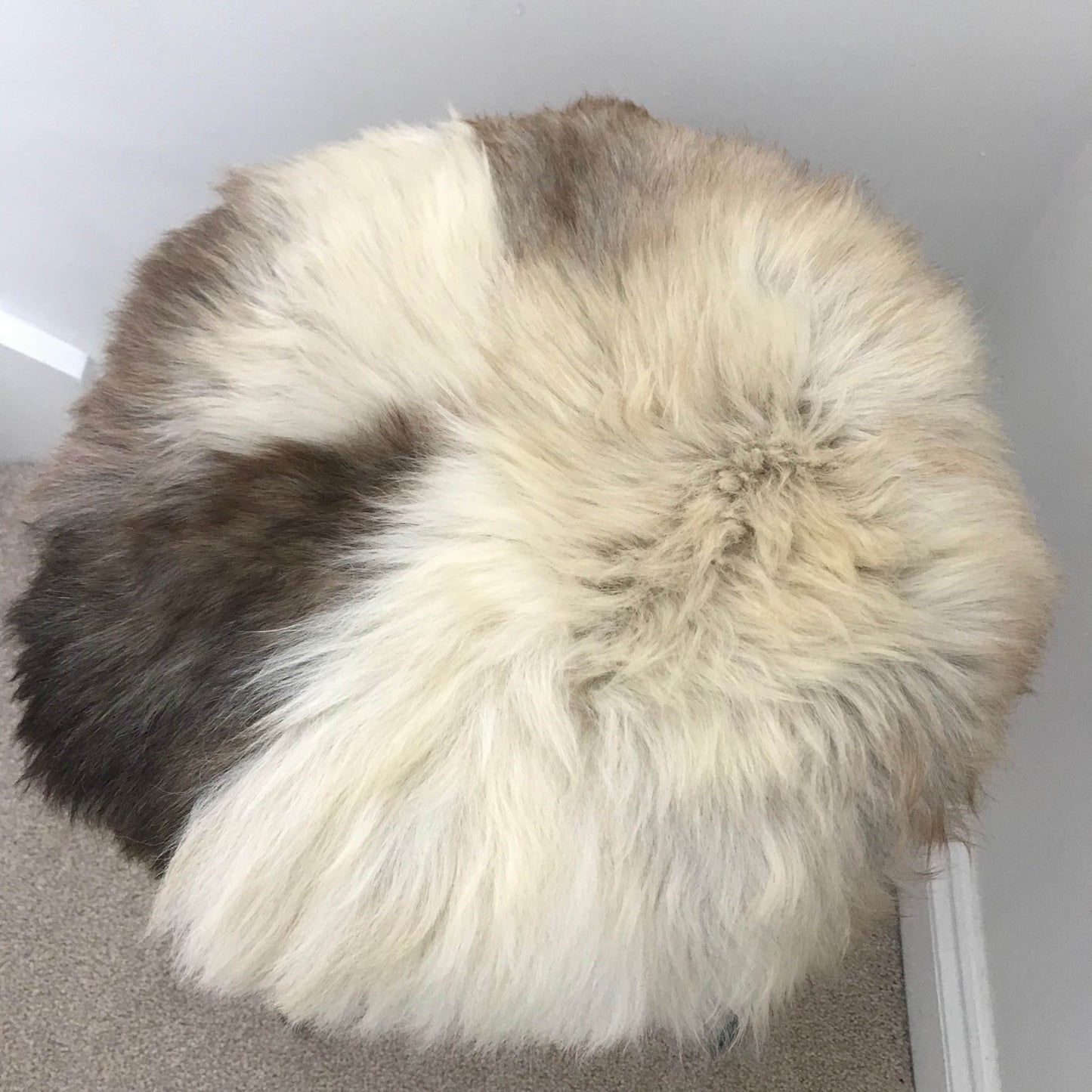 100% Genuine Real Sheepskin Seat Pad British Roundie 35cm Cream / Light Browns