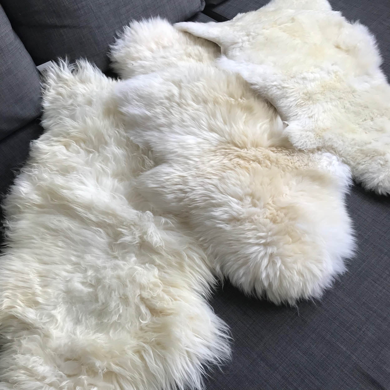 British Sheepskin Rug Hide Ivory White Fleece | Medium Throw