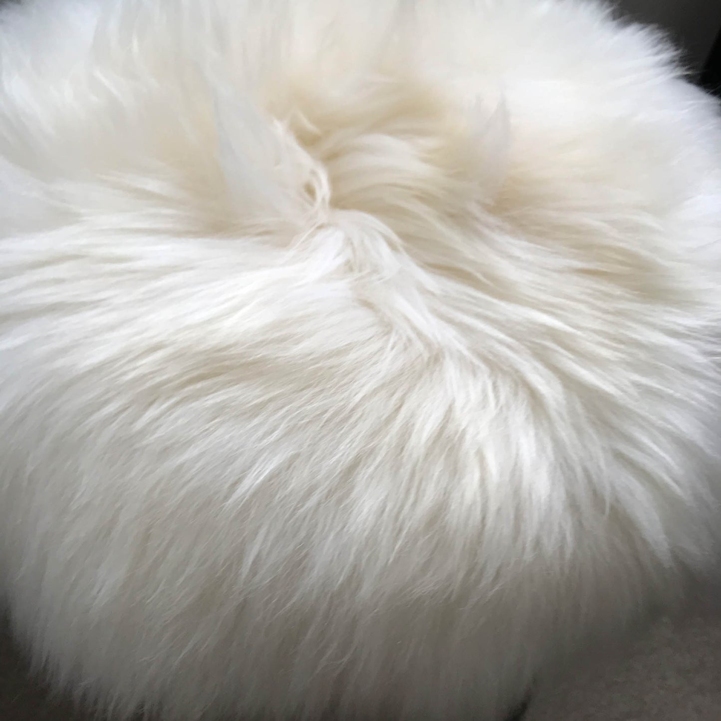 100% Genuine British Sheepskin Seat Pad Roundie 35cm Cream White Ivory