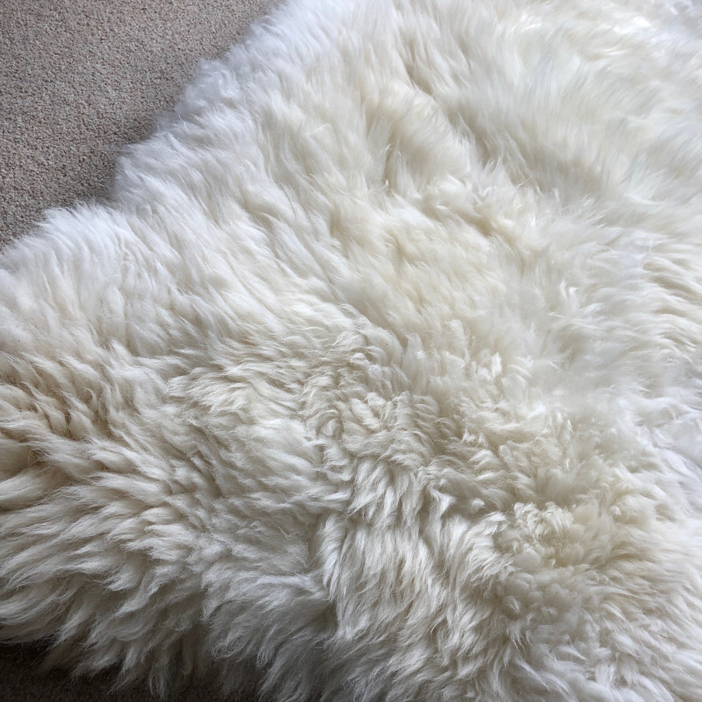 XXXL 130cm+ (51”+) Top Quality British White Sheepskin Rug 100% Natural Free-range UK Ecofriendly Huge Sheepskin Skin