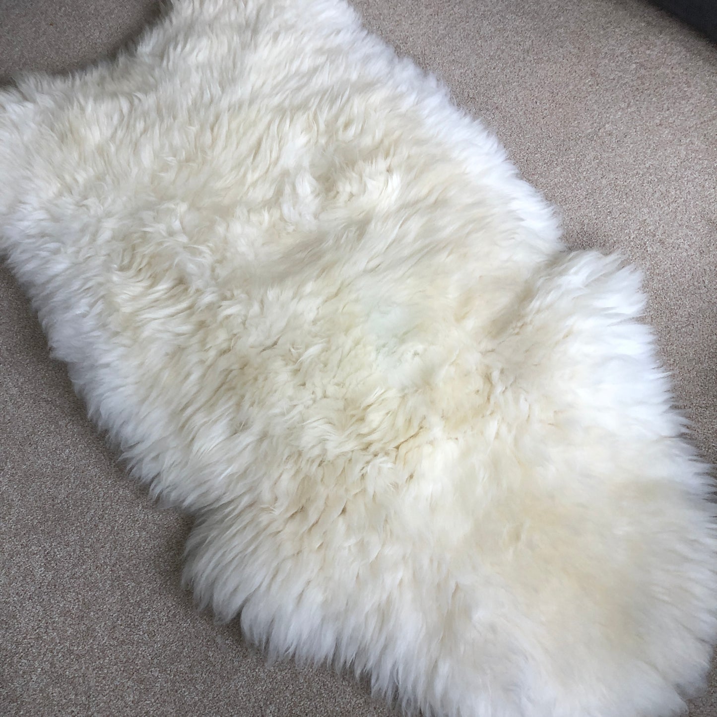 XXXL 130cm+ (51”+) Top Quality British White Sheepskin Rug 100% Natural Free-range UK Ecofriendly Huge Sheepskin Skin