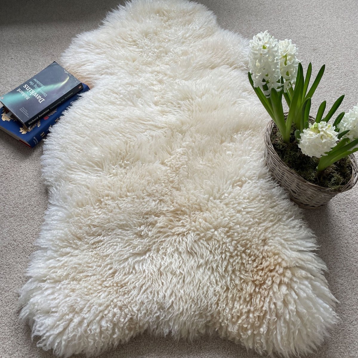 British Curly Sheepskin Ivory Cream White 100% Natural Sheep Skin Rug - British Sheepskin