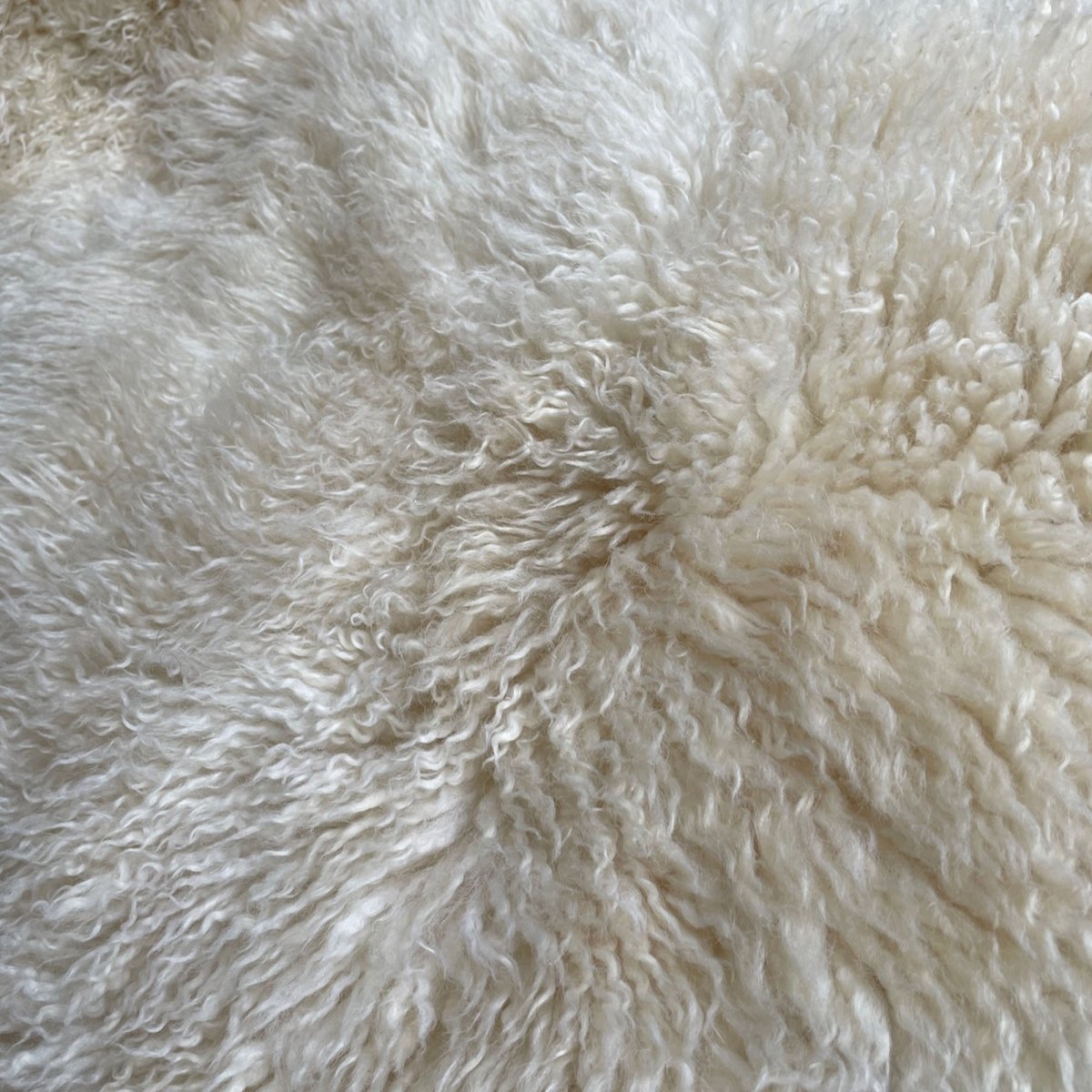 British Curly Sheepskin Ivory Cream White 100% Natural Sheep Skin Rug - British Sheepskin