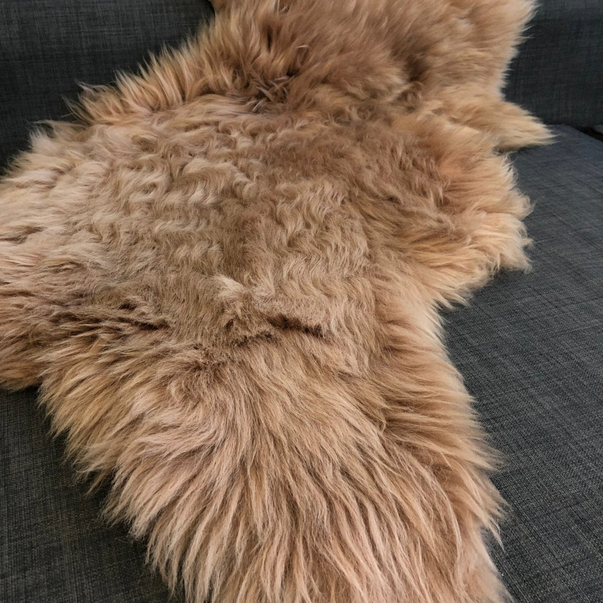 British Honey Gold Sheepskin Rug Sheep Skin Throw 100% Natural English Fleece - British Sheepskin