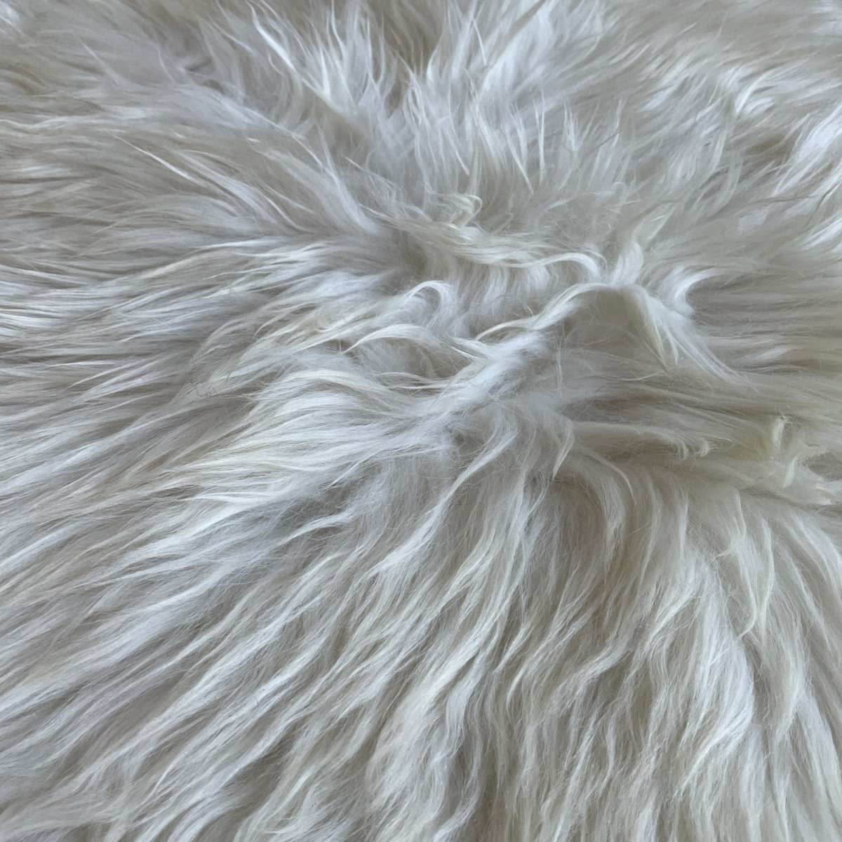 British Rare Breed Sheepskin Hide Unique Large 1125BRL09 - British Sheepskin