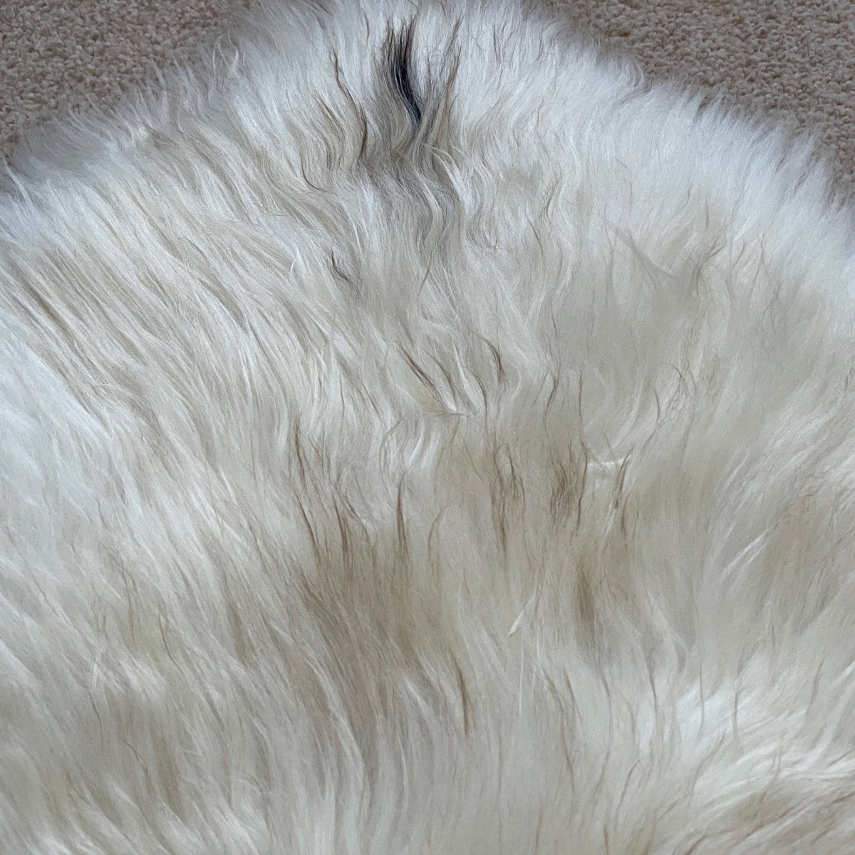 British Rare Breed Sheepskin Hide Unique Large 1125BRL09 - British Sheepskin