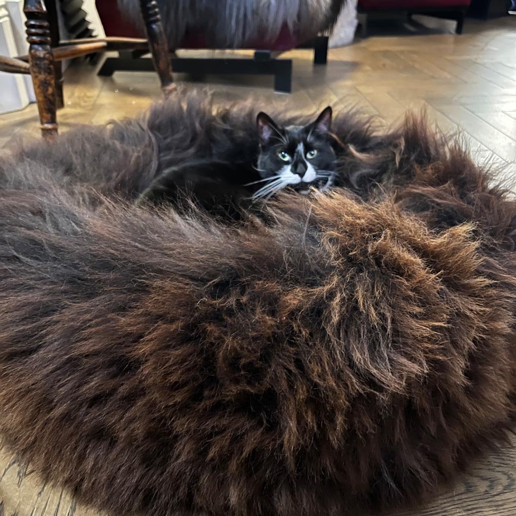 British Sheepskin Round Pet Bed