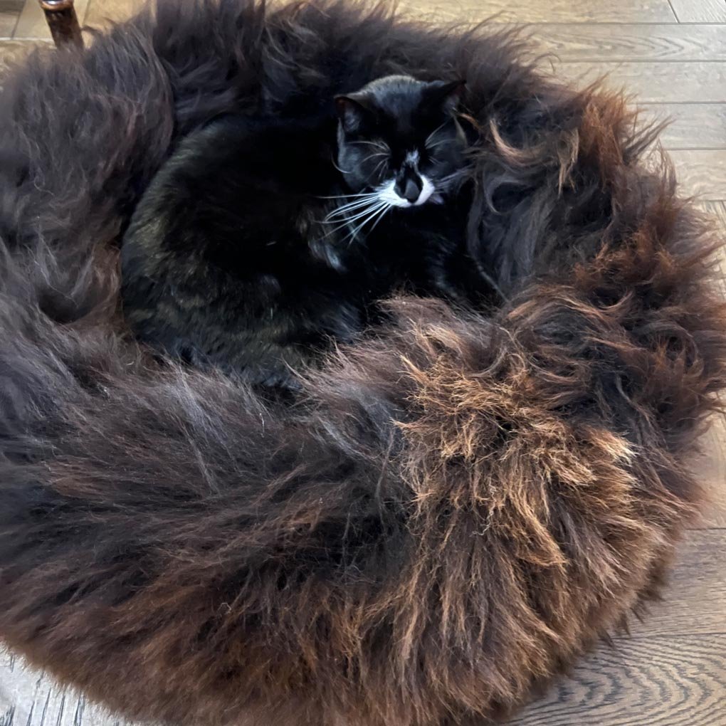 British Sheepskin Round Pet Bed