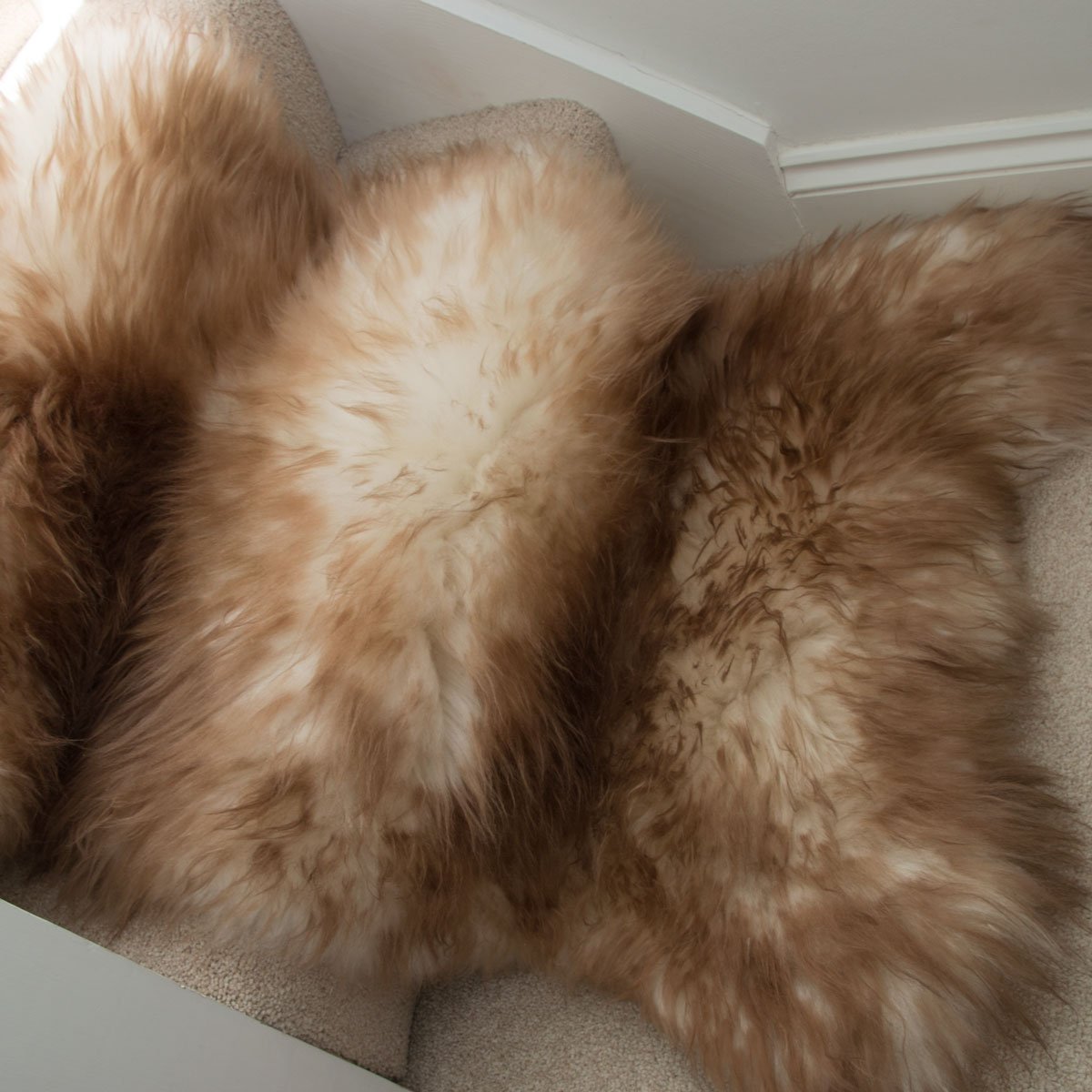 British Sheepskin Rug | Fleece | Latté | Cream & Brown Tipped Throw