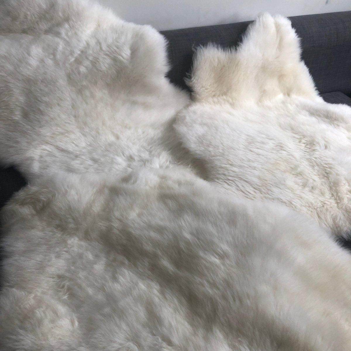 Luxurious British Sheepskin Rug Hide Ivory White Small Short Fur - British Sheepskin