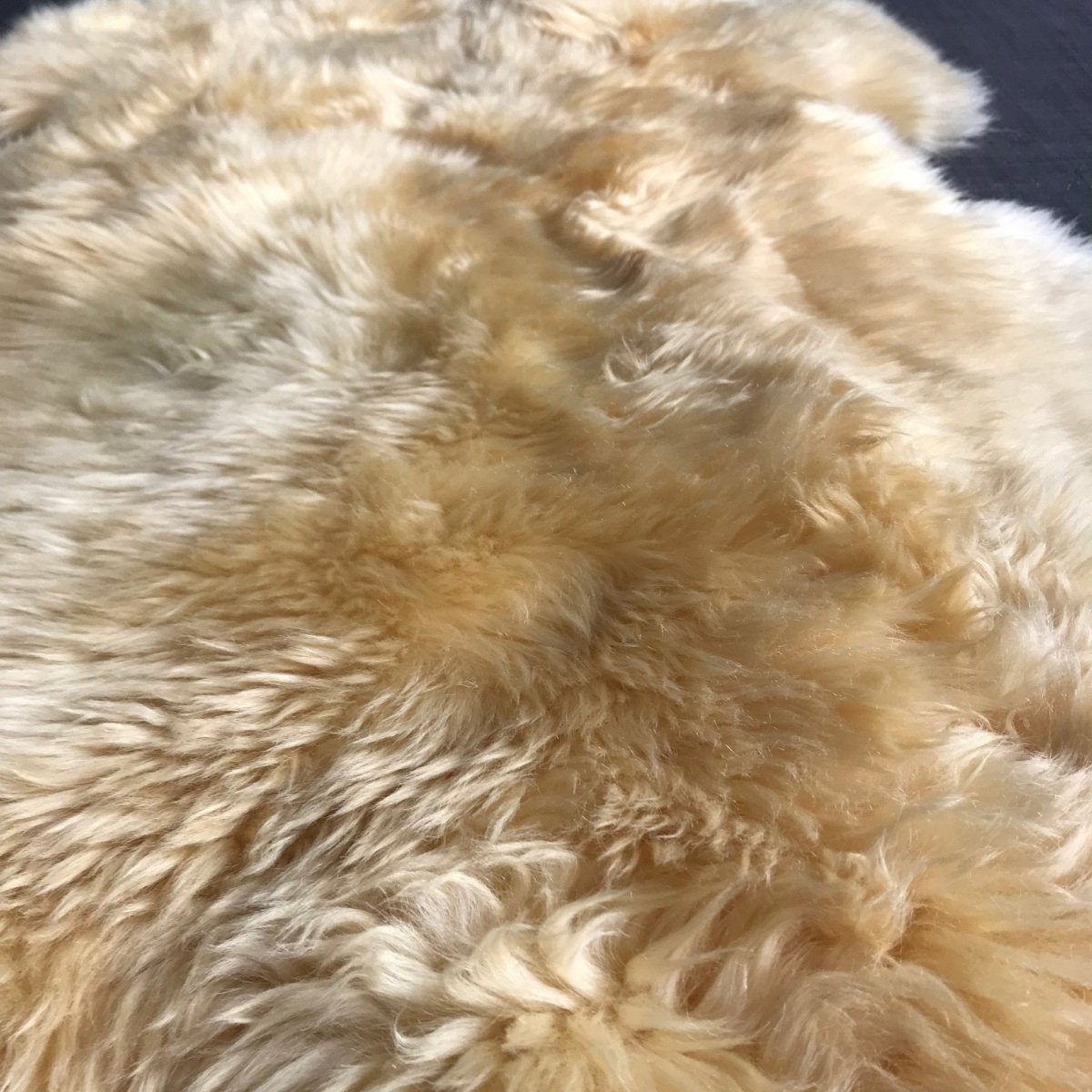 Medical Grade Sheepskin | Baby Sheepskin | Hypoallergenic Relugan Long Fur - British Sheepskin