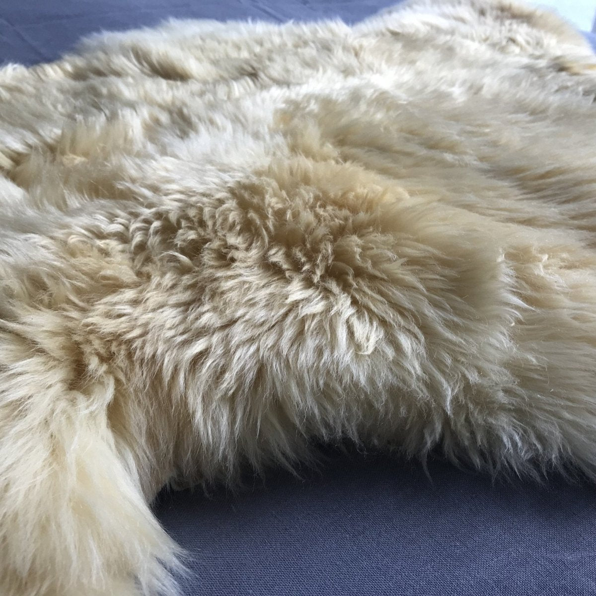 Medical Grade Sheepskin | Baby Sheepskin | Hypoallergenic Relugan Long Fur - British Sheepskin