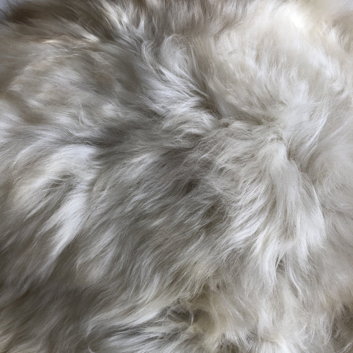 Rare Breed Champagne Mix Sheepskin Rug 100% Natural Free-range