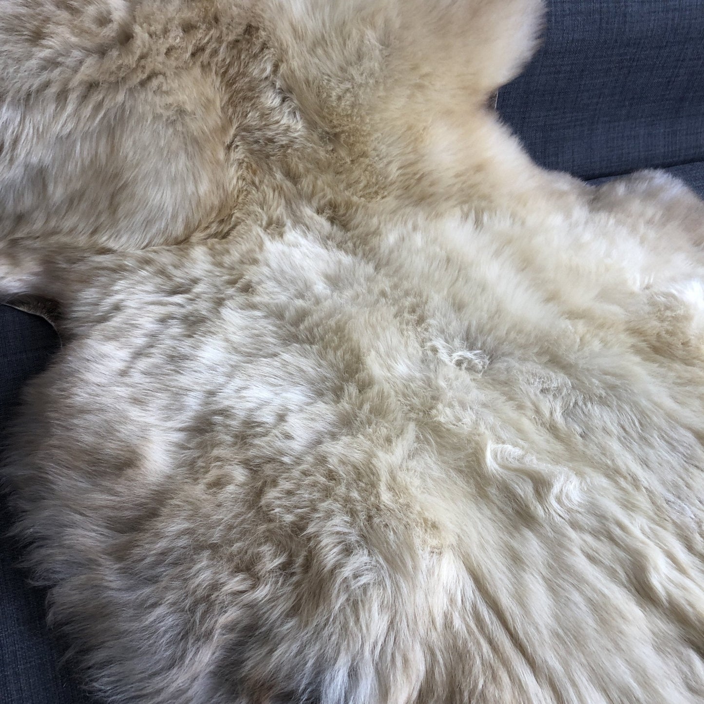 Rare Breed Champagne Mix Sheepskin Rug 100% Natural Free-range