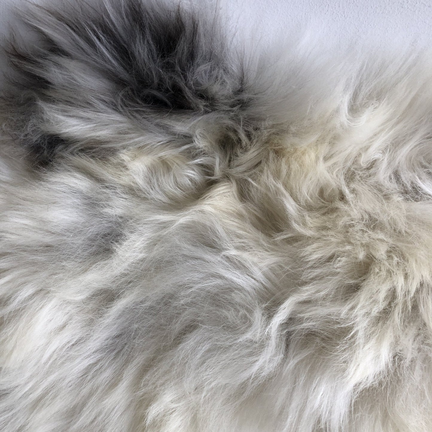 Rare Breed Champagne Mix Sheepskin Rug 100% Natural Free-range