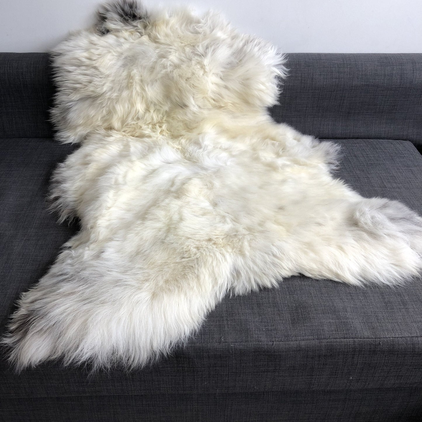 Rare Breed Champagne Mix Sheepskin Rug 100% Natural Free-range