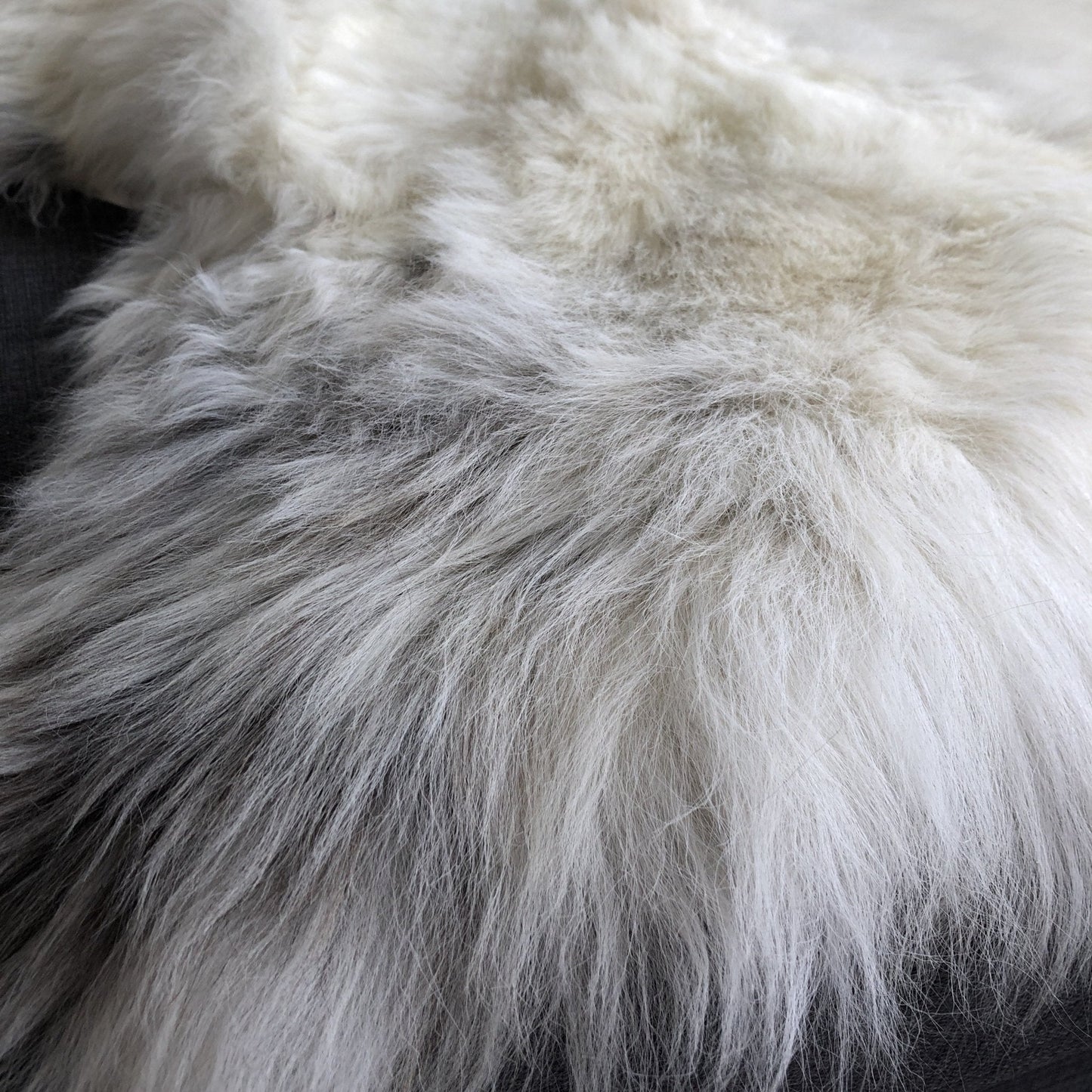 Rare Breed Champagne Mix Sheepskin Rug 100% Natural Free-range