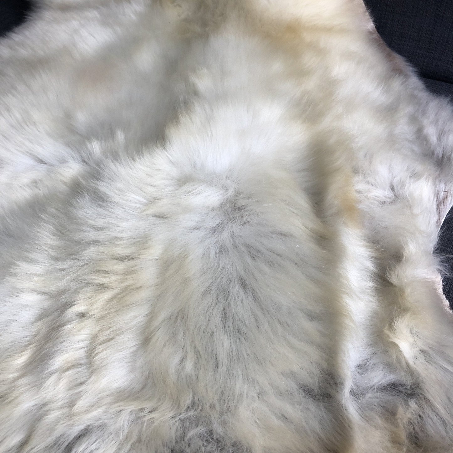 Rare Breed Champagne Mix Sheepskin Rug 100% Natural Free-range